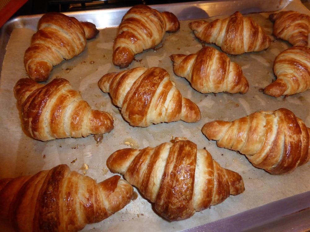 آشفيل Sweet Biscuit Inn المظهر الخارجي الصورة
